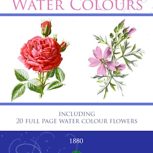 Illustrated FLOWER PAINTING In WATERCOLOURS 20 Full Page Flower Paintings and Descriptions 40 Pages Rare Old Printable Book Instant Download