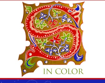 MEDIAEVAL ALPHABETS and INITIALS 130 Color Illustrations Rare Book with 28 Pages For Crafts People and Designers Printable Instant Download