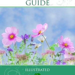 WILDFLOWERS REFERENCE GUIDE Illustrations and Wild Flower Descriptions 329 pages Printable or Read on Your Tablet Instant Digital Download