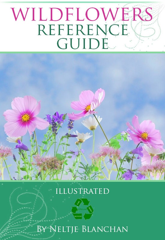洋書 How to Study Wild Flowers How to study wild flowers : Henslow, George, 1835-1925