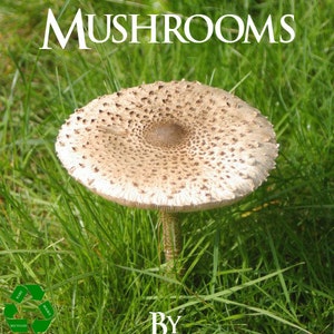 Learn HOW To GROW MUSHROOMS Everything That You Need To Know Printable or Read on Your Tablet Instant Download