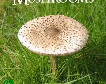 May include: A book titled "How To Grow Mushrooms" by William Falconer, with a close-up image of a mushroom with a brown cap and white stem growing in green grass.