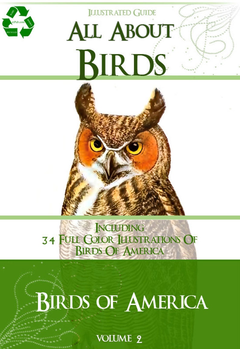 All ABOUT BIRDS of AMERICA Volume 2 Rare illustrated Guide 322 Pages 34 Full Color Pictures Instant Download image 1