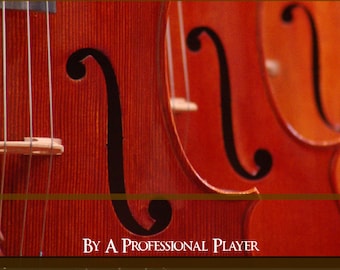 Cómo elegir un violín: guía ilustrada sobre lo que necesita saber de un violinista profesional