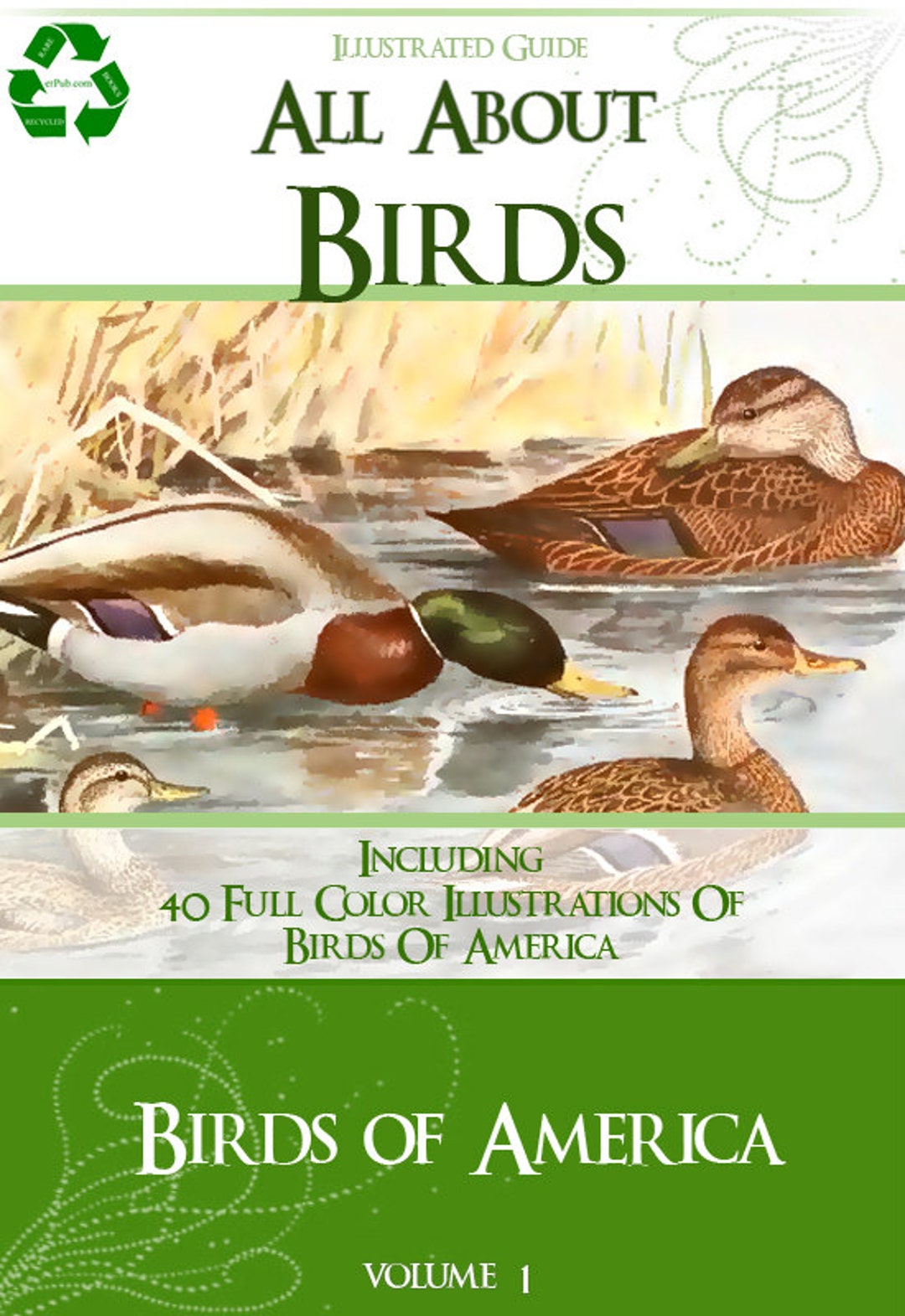 All ABOUT BIRDS of AMERICA Volume 1 Rare Illustrated Guide 330 Pages 40 ...
