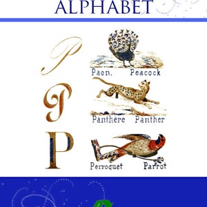 May include: A vintage French pictorial animal alphabet illustration. The image features the word "French" and "Pictorial Animal Alphabet" at the top. The letter "P" is shown in three different styles, with illustrations of a peacock, panther, and parrot.