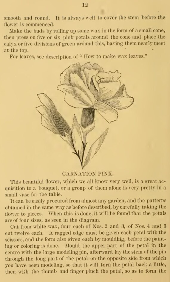 How to Make WAX FLOWERS and FRUIT Rare Victorian Manual Teach