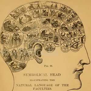 How To Print Character illustriertes Handbuch der PHRENOLOGY und PHYSIOGNOMY