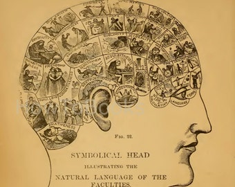 Pode incluir: Uma ilustração vintage de uma cabeça humana dividida em seções, cada uma representando uma faculdade humana diferente. As seções são etiquetadas com palavras como "Esperança", "Idealidade", "Acquisitividade", "Combatividade" e "Linguagem".