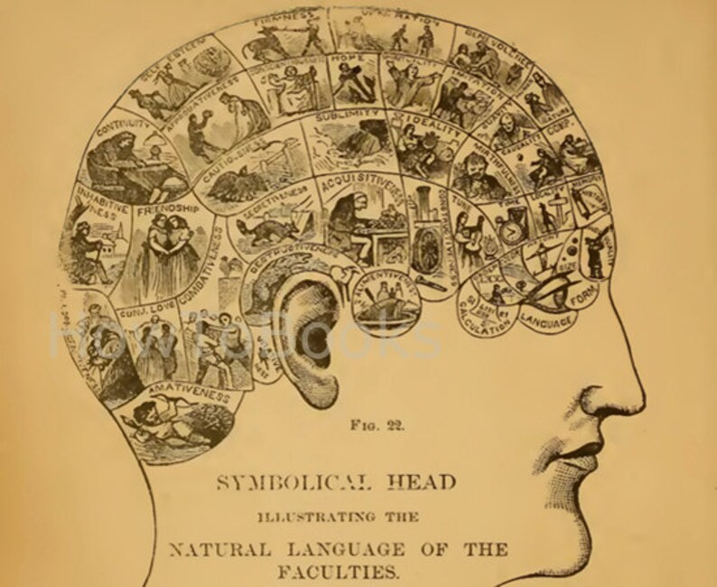 How To Read Character Illustrated Handbook Of PHRENOLOGY And Etsy Israel