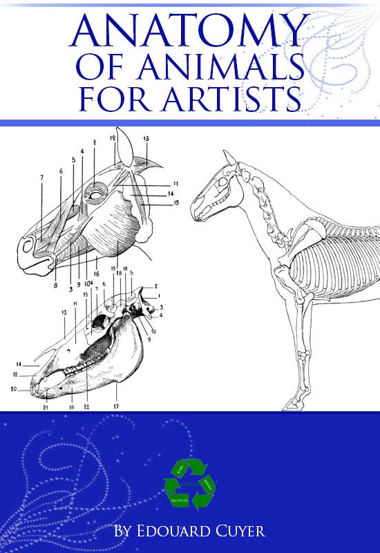 ANATOMY of ANIMALS for ARTISTS Rare Illustrated French Study Book