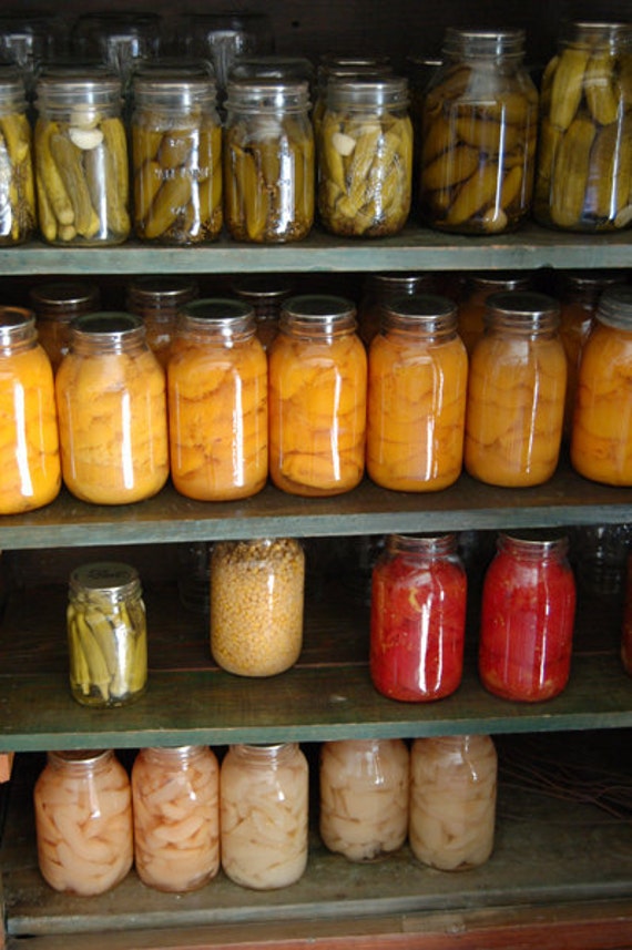 Off Grid Preppers 66 Self Sufficiency Survival Books About Homesteading Home Canning Preserving Instant Digital Download