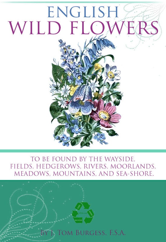 ENGLISH WILD FLOWERS With Numerous Illustrations and