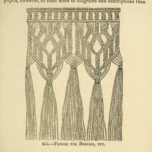 Op de afbeelding: Een zwart-witte lijntekening van een franje voor jurken, etc. De franje is gemaakt van een reeks knopen die een stervorm cre&euml;ren. De tekst "354.-FRINGE FOR DRESSES, ETC." staat onder de tekening.