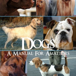 DOGS A MANUAL For AMATEURS Learn All About Breeds of Dogs Ailments Accidents Instant Digital Download