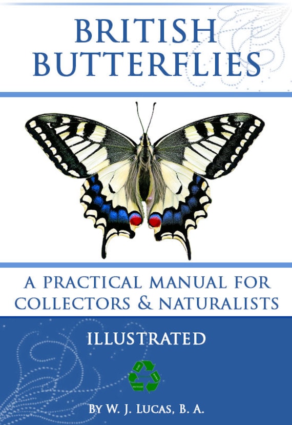 The Illustrated Book of BRITISH BUTTERFLIES 1893 A Rare Practical