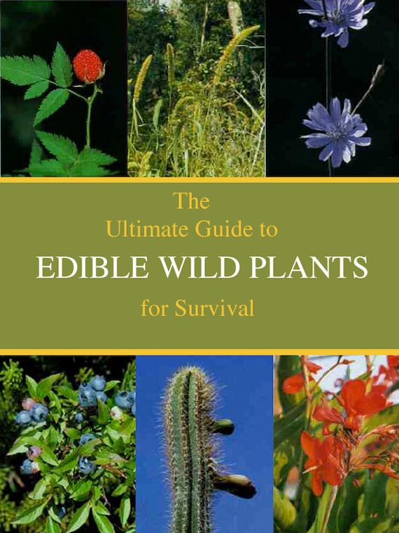 EDIBLE WILD PLANTS the Ultimate Survival Guide What to Eat and What is  Dangerous Instant Download Read on Your iPad Tablet or Computer - Etsy New  Zealand