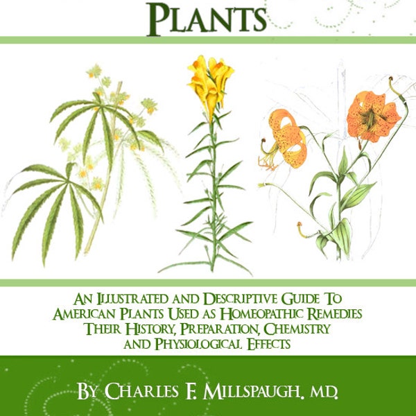 American Homeopathic Plants 369 Pages Printable Rare Illustrated and Descriptive Guide Volume 2 Read on iPad or Computer Instant Download