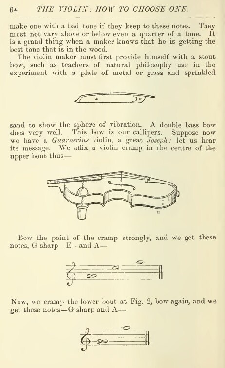 How to CHOOSE A VIOLIN Rare Illustrated Guide on What You Need to Know ...