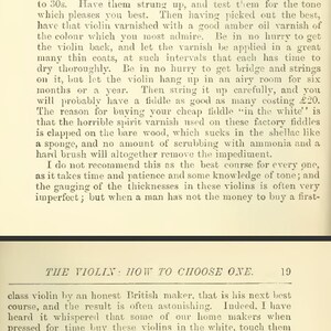 How to CHOOSE A VIOLIN Rare Illustrated Guide on What You Need to Know ...