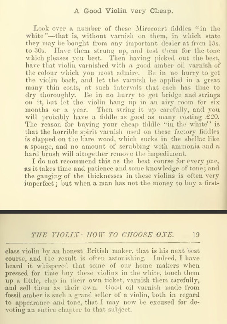 How to CHOOSE A VIOLIN Rare Illustrated Guide on What You Need to Know ...