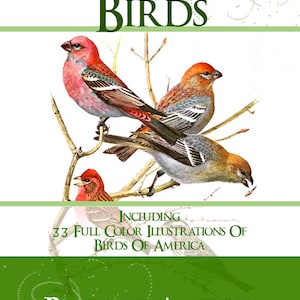 All ABOUT BIRDS of AMERICA Volume 3 Rare illustrated Guide 340 Pages 33 Full Color Pictures Instant Download