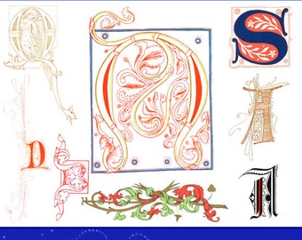ILLUSTRATED CALLIGRAPHY TREASURE Rare Illustrated Book in Color For Crafts People, Scrapbookers, Designers 50 pgs Printable Instant Download