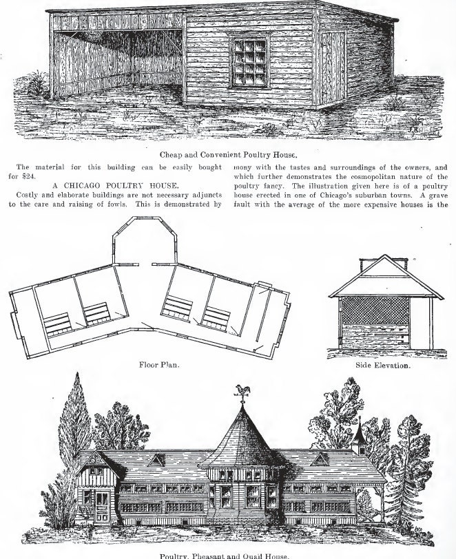 HOW to Build POULTRY HOUSES Rare Illustrated Book of Award Etsy