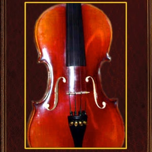May include: A book cover with a red violin on a dark red background. The title of the book is "How to Make a Violin" by John Broadhouse.