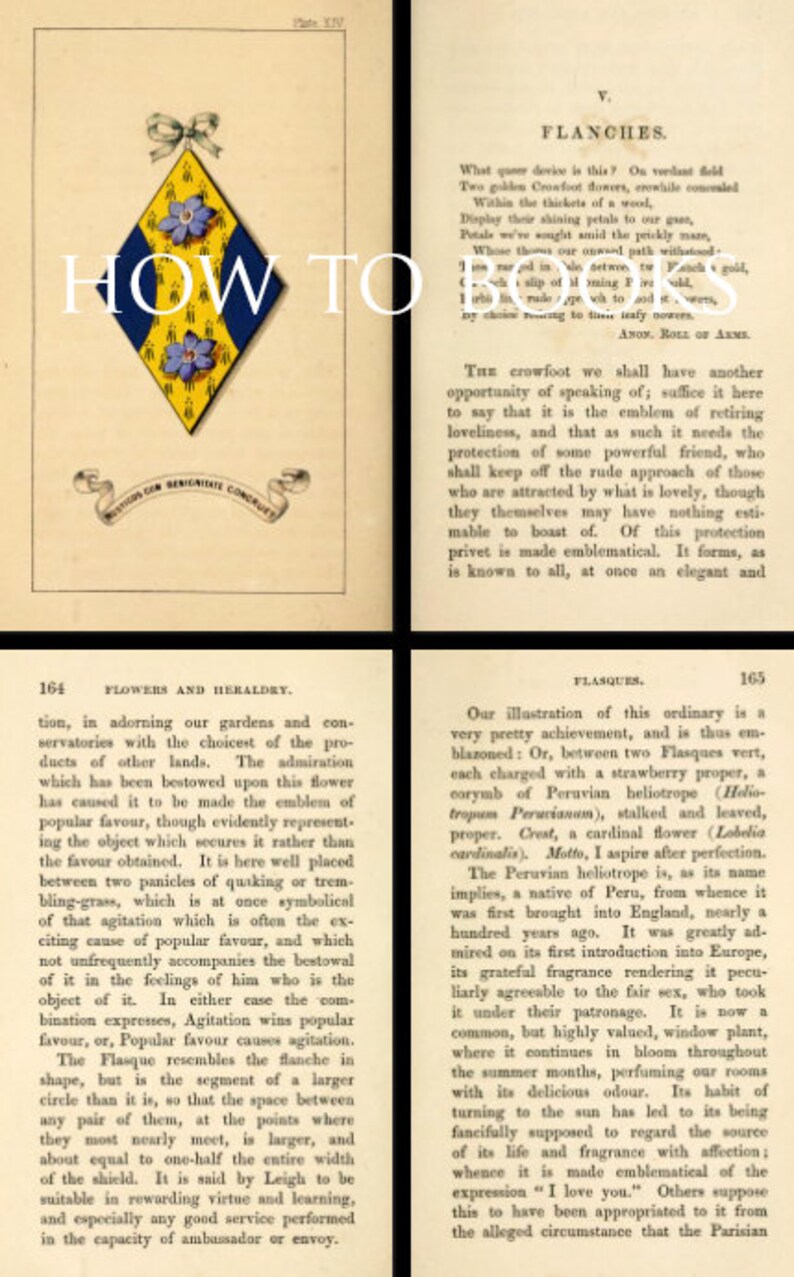 Illustrated Guide to FLOWERS in HERALDRY Rare Reference Book for ...