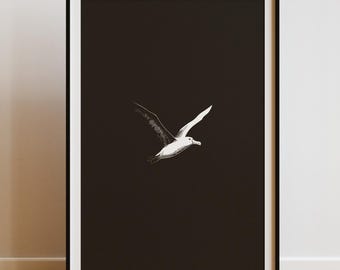 Seagull Sketch Black White Print Minimalist Bird Poster Moody Animal Wall Art Digital Download