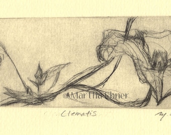 Flower Drypoint Print "Clematis"