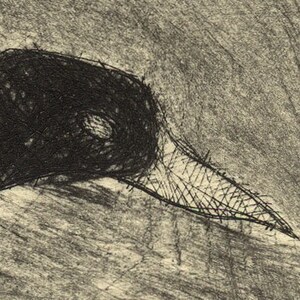 Bird Print Etching of Crow image 2