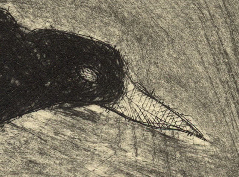 Bird Print Etching of Crow image 2