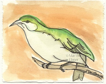 Watercolor Bird Drawing of a Hawaiian Akikiki Bird