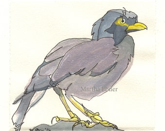 Mynah Bird Watercolor Bird Drawing, Purple