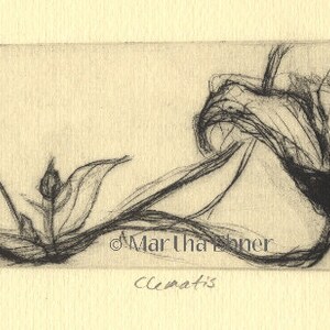 Flower Drypoint Print Clematis image 1