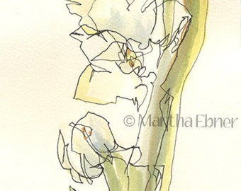 Watercolor Line Drawing of Narcissus Flower Stalk