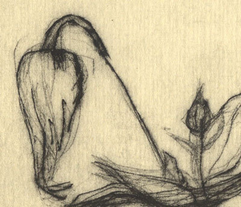 Flower Drypoint Print Clematis image 2