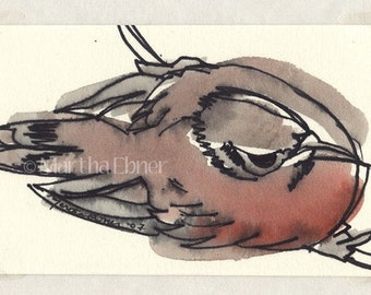Watercolor Bird Drawing of 'Bird from Above', Approx 3" high