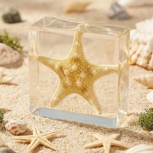 May include: A starfish encased in a clear, rectangular block, surrounded by seashells and sand. The starfish is light yellow with white spots. Various seashells and small rocks are scattered around the block on a sandy surface.