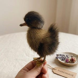 May include: A handmade brown duckling with a fluffy head and body. The duckling is held in a hand, with a small tag that says "HANDMADE". A small dish with dried flowers is in the background.