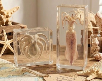 Real Octopus Squid Specimen in Resin - Marine Biology Taxidermy Art for Science Education Collection & Decor