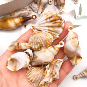 Pode incluir: Conjunto de pingentes de conchas com um padrão de mármore branco e castanho. Os pingentes têm um furo na parte superior para serem presos a joias ou outros trabalhos manuais.