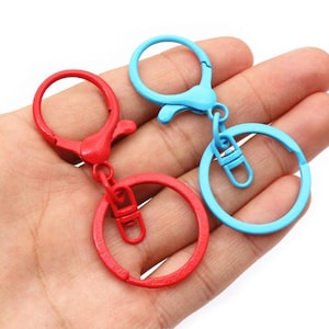 Puede incluir: Se muestran dos llaveros metálicos, uno rojo y otro azul. Cada llavero tiene un anillo redondo y un cierre. Los llaveros se sostienen en una mano, con el llavero rojo a la izquierda y el llavero azul a la derecha.