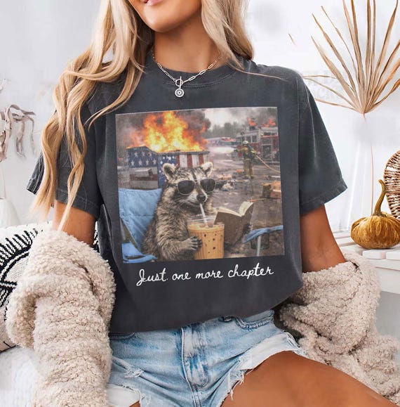 One More Chapter Dumpster Raccoon Comfort Colors Shirt, Retro Bookish Girl Tee, Funny Reading Raccoon, Book Lover Gift