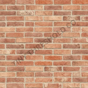 Könnte beinhalten: Nahaufnahme einer Backsteinmauer mit strukturierter Oberfläche. Die Ziegel sind hauptsächlich rot und orange, mit Farb- und Tonvariationen. Der Mörtel zwischen den Ziegeln ist hellbeige. Der Text "TINY THRESHOLD CO" ist sichtbar.