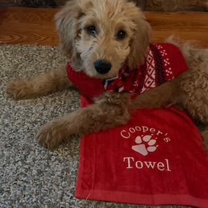 May include: A brown and white dog wearing a red and white sweater is lying on a red towel with the text "Cooper's Towel" embroidered on it.