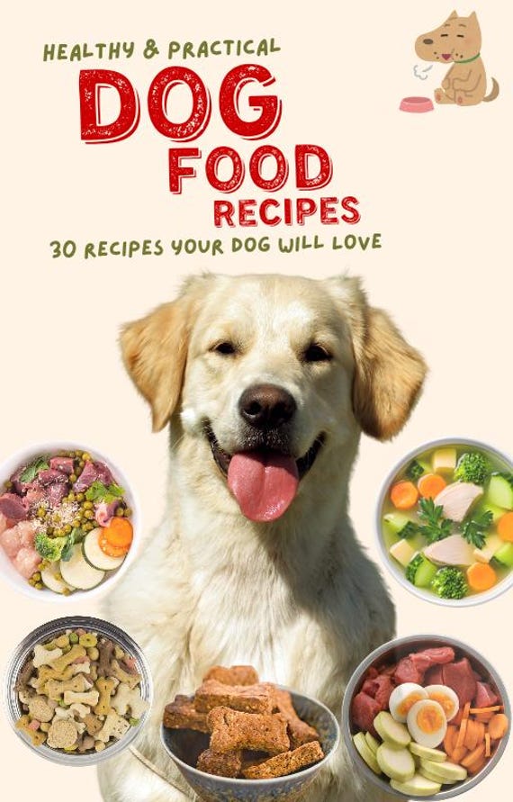 Dog Food Recipes, Healthy And Practical