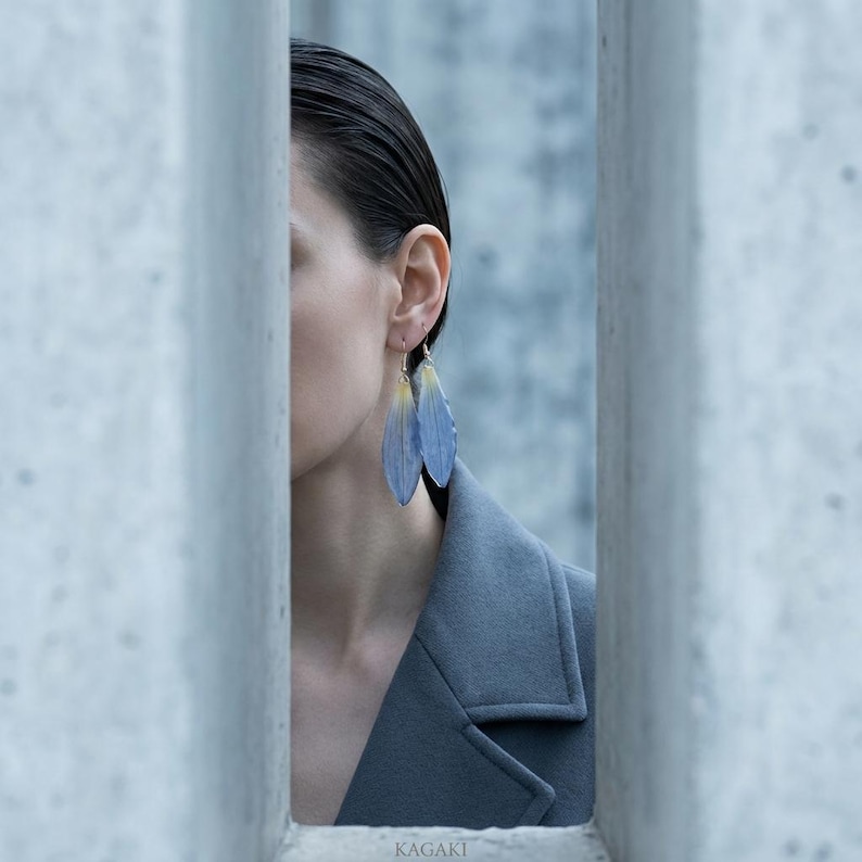 May include: A person wearing blue feather earrings with yellow accents. The earrings are suspended from silver hooks. The person is wearing a gray coat. The background is a light blue.